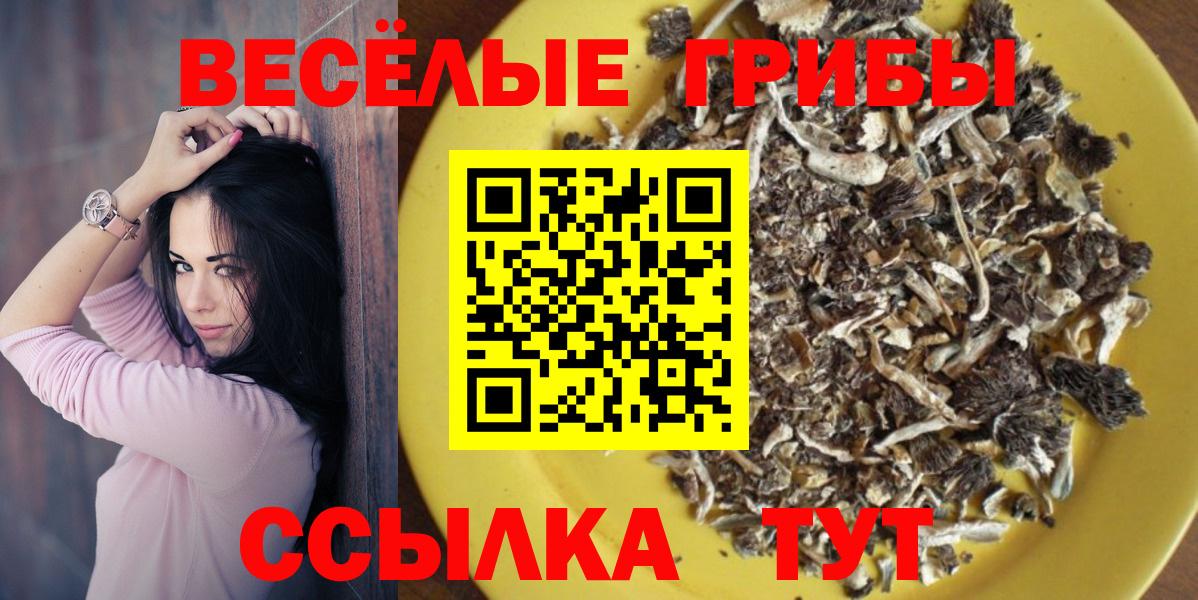 Псилоцибиновые грибы Magic Shrooms  Галлюциногенные грибы MAGIC MUSHROOMS  Вход с VPN  Кувандык 